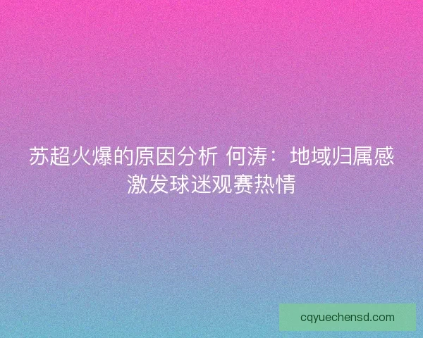 苏超火爆的原因分析 何涛：地域归属感激发球迷观赛热情