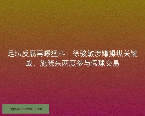 足坛反腐再曝猛料：徐骏敏涉嫌操纵关键战，施晓东两度参与假球交易