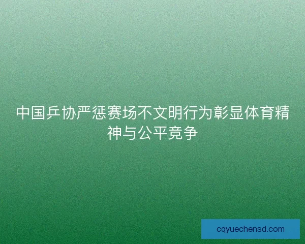 中国乒协严惩赛场不文明行为彰显体育精神与公平竞争 中国乒协严惩赛场不文明行为彰显体育精神与公平竞争