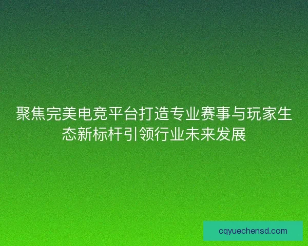 聚焦完美电竞平台打造专业赛事与玩家生态新标杆引领行业未来发展